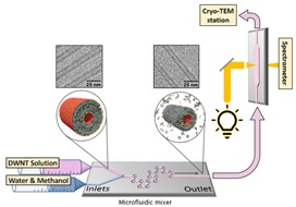 Nanotubes TEM 2022